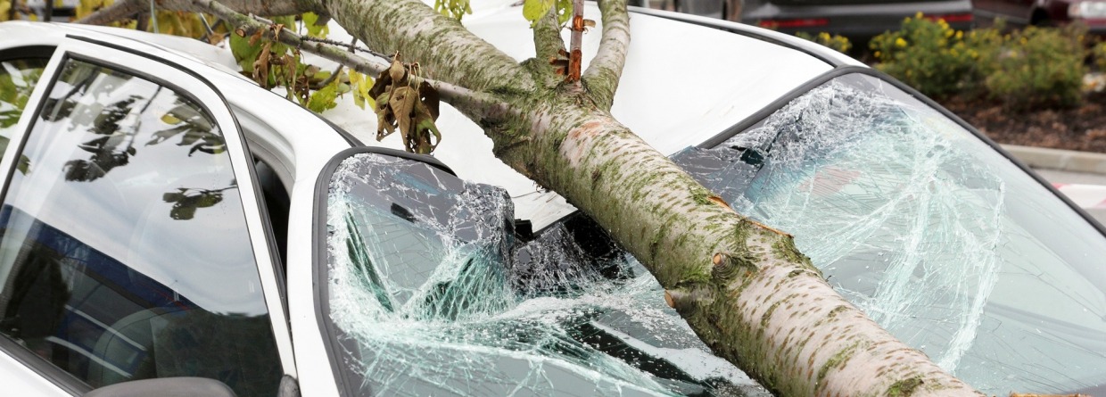 auto heeft schade door storm