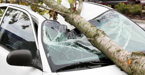 auto heeft schade door storm