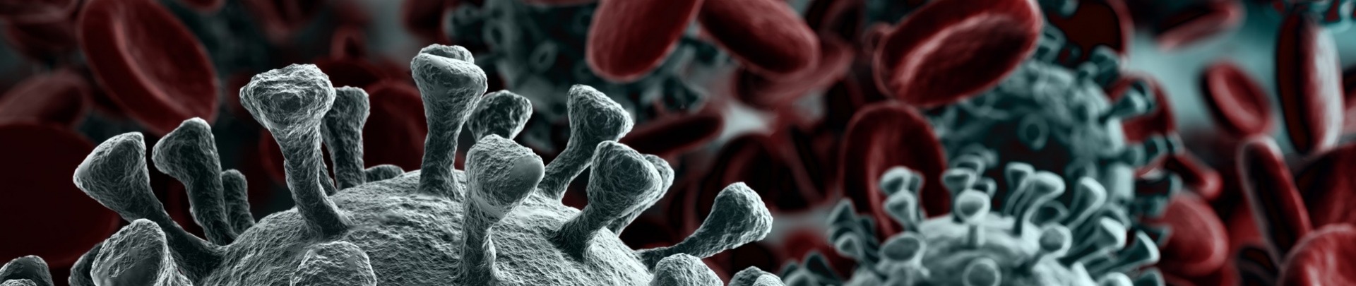 corona virus